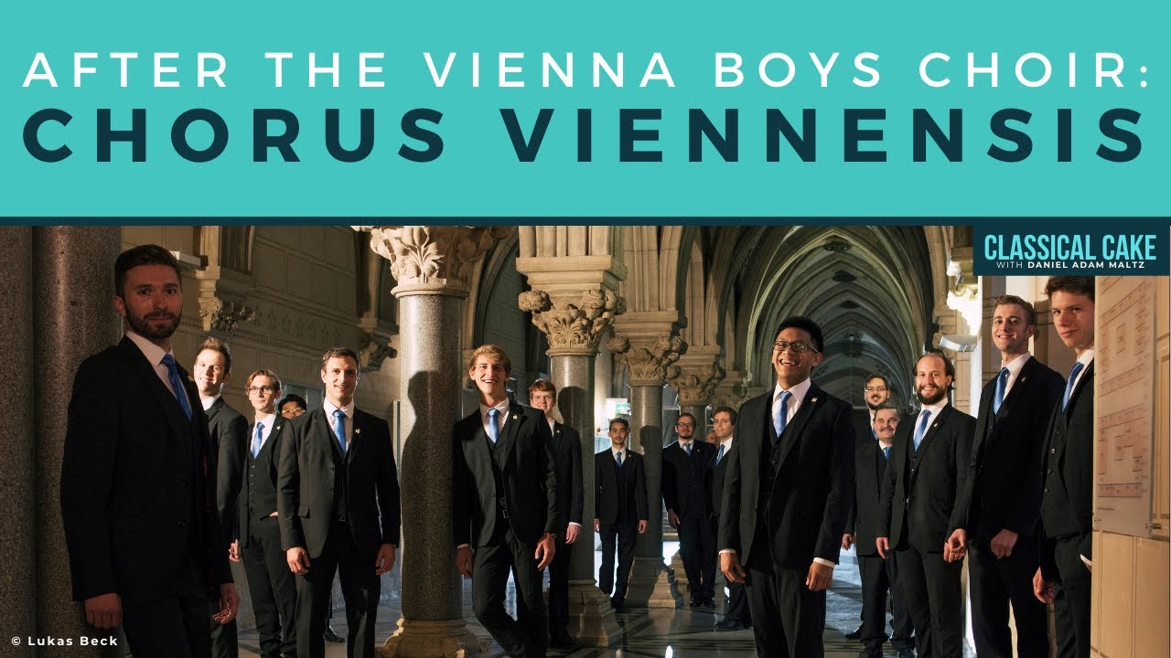 After the Vienna Boys Choir: Chorus Viennensis