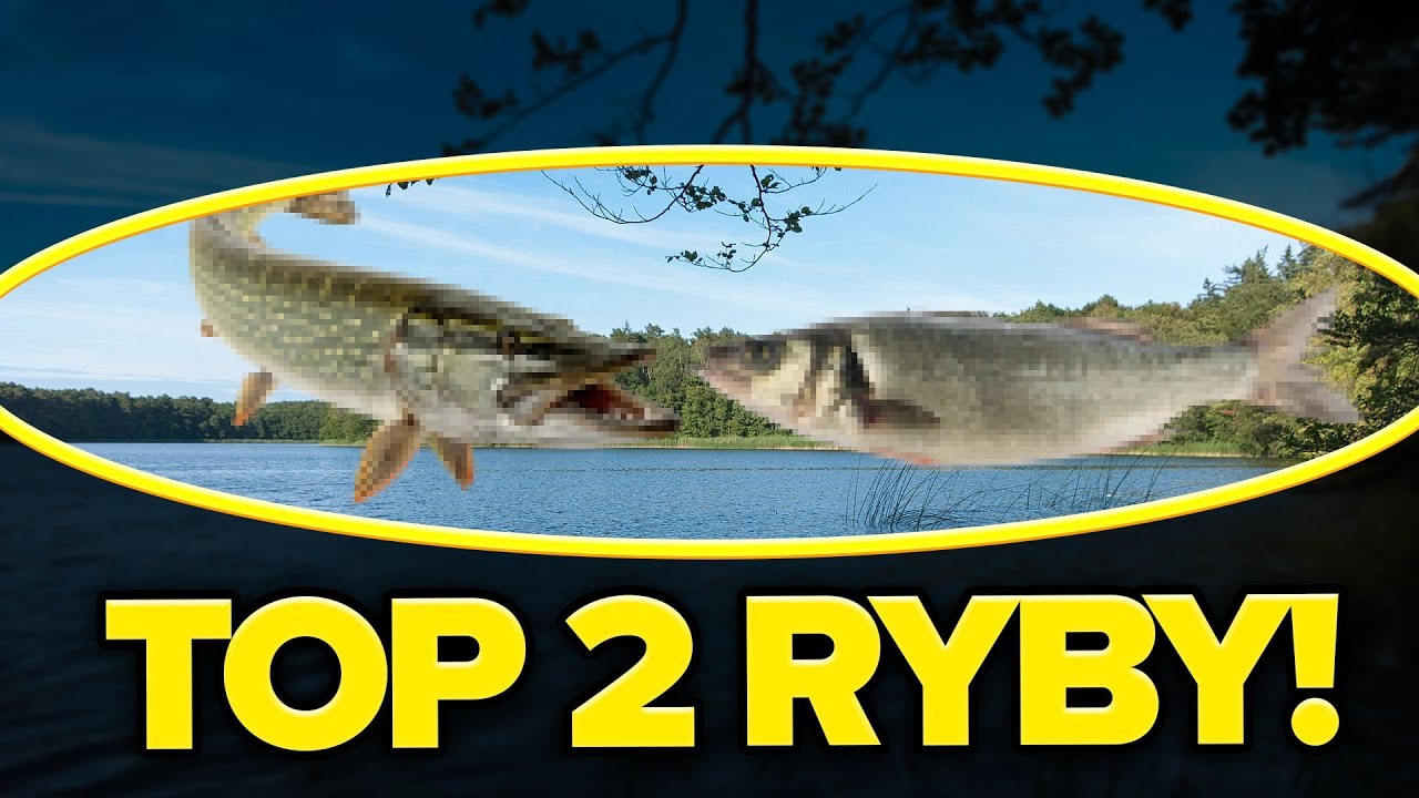 TOP 2 Ryby Drapieżne. { Łowienie na Spinning } Pierwszy Dzień 🎣🐟