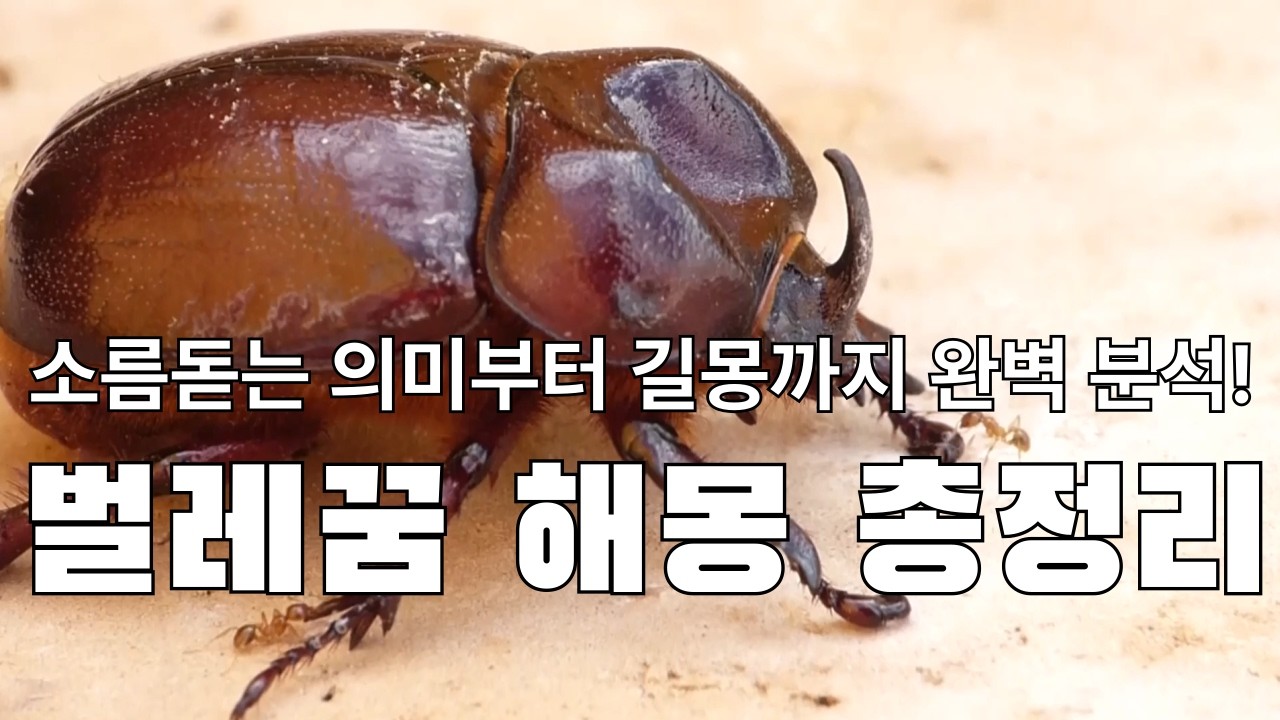 벌레꿈 해몽 총정리 🐛 소름돋는 의미부터 길몽까지 완벽 분석!