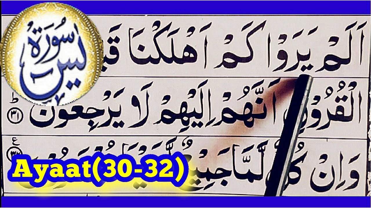 SURAH AL YASIN Ayaat(30-32)Spelling word byword fullAyaat Hadar Learn Quran#Quran#Ayaat#Yasin#Surah#
