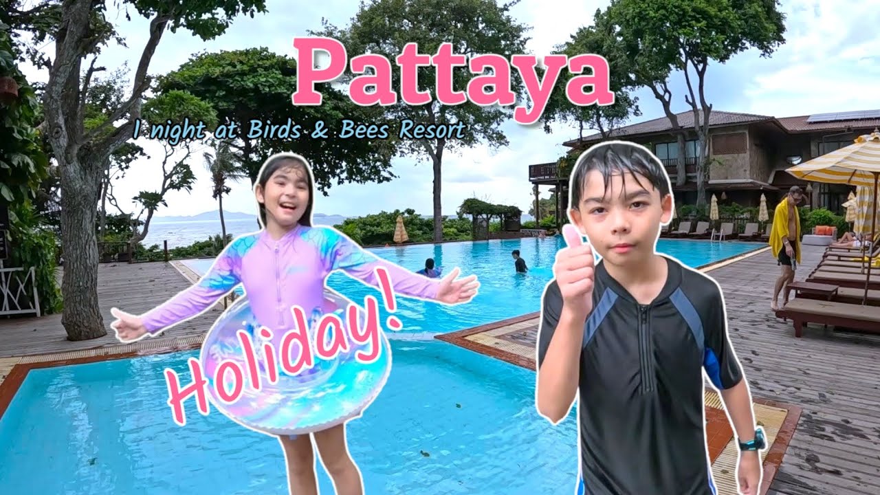 Pattaya's Hidden Gem: Birds and Bees Resort