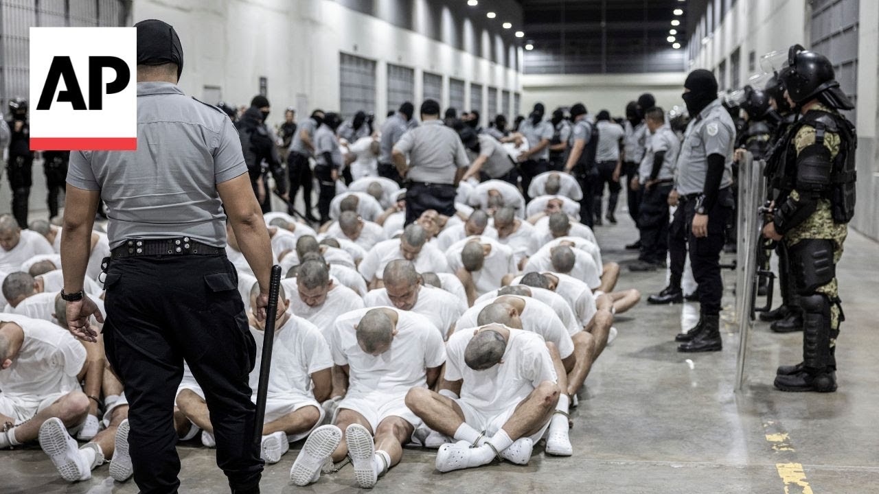 Venezuela-hired lawyers take legal action to free Venezuelans deported by US to El Salvador