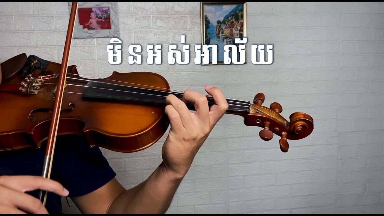 មិនអស់អាល័យ - វីយូឡុង