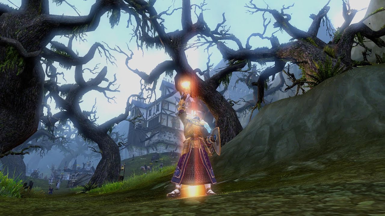 Warrior priest shield roaming [GRACE] showcase