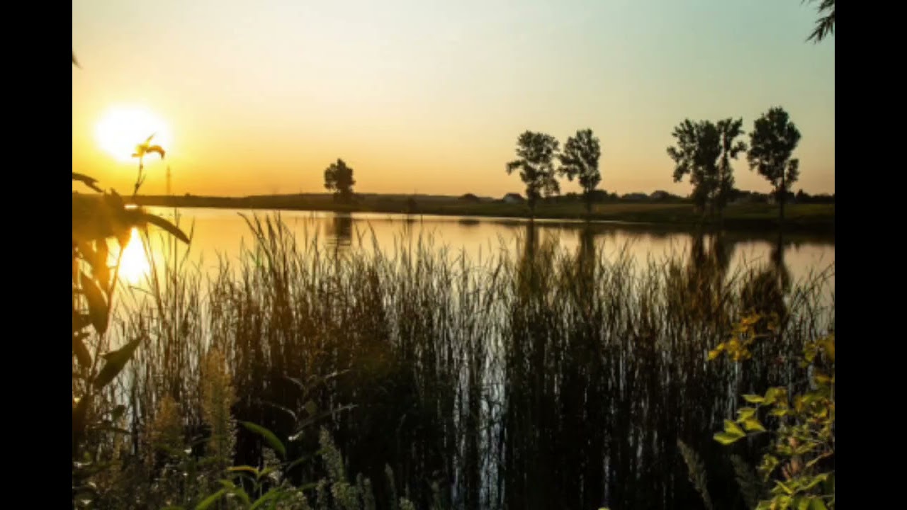 Аудіорелакси 