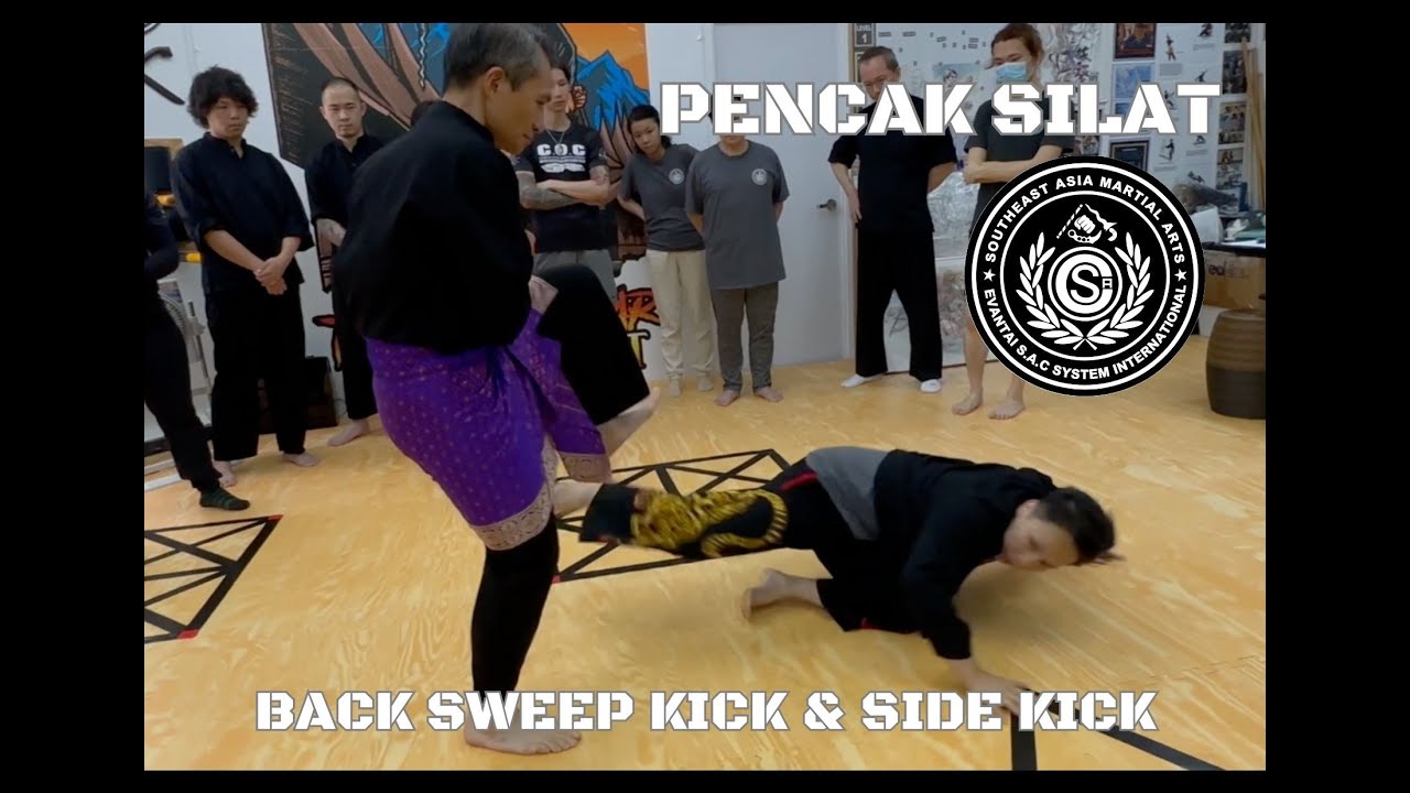 Silat Back Sweep Kick & Side Kick