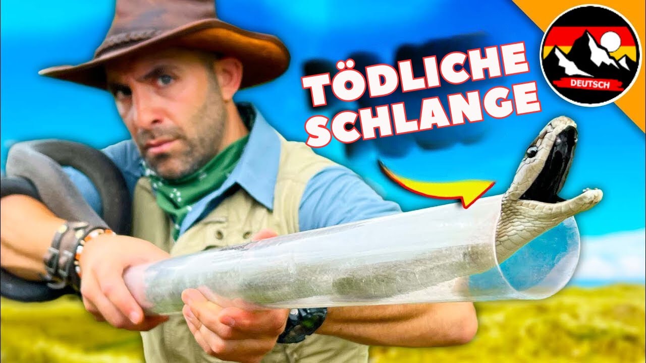 Die SCHWARZE MAMBA! Die Rettung einer der gefährlichsten Schlangen | Brave Wilderness Deutsch