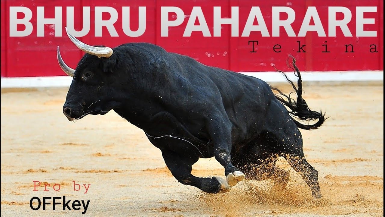 Bhuru paHarare - Tekina