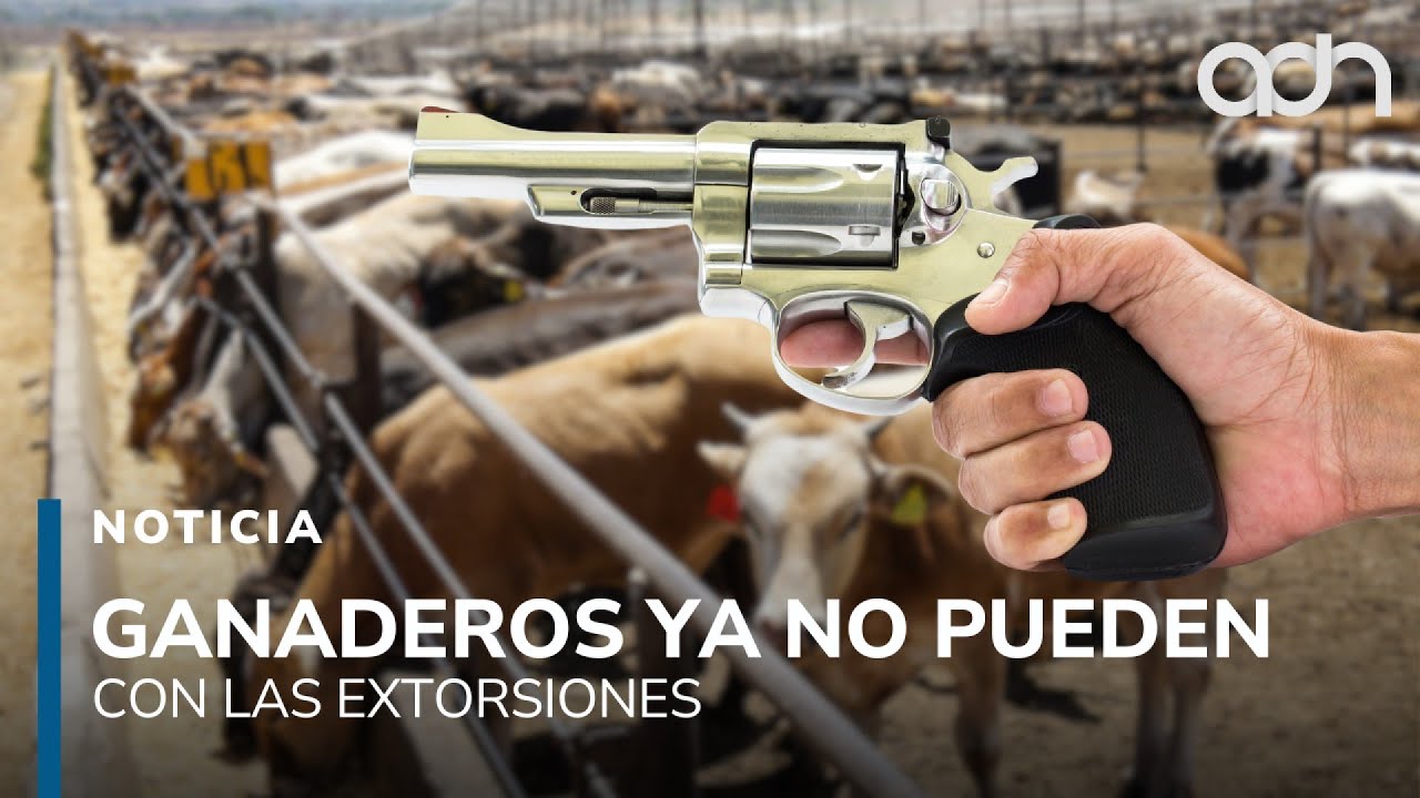 Hay un impuesto criminal en el campo. Ganaderos ya no pueden con las extorsiones