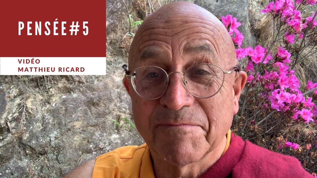 Pensée #5 - La Bête diabolique est l'égoïsme - Matthieu Ricard