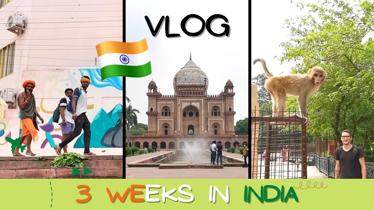 🇮🇳 VLOG en INDE, voyage dans l'Himalaya 🧘🏻‍♂️ (et on a rencontré un scorpion 🦂 !)