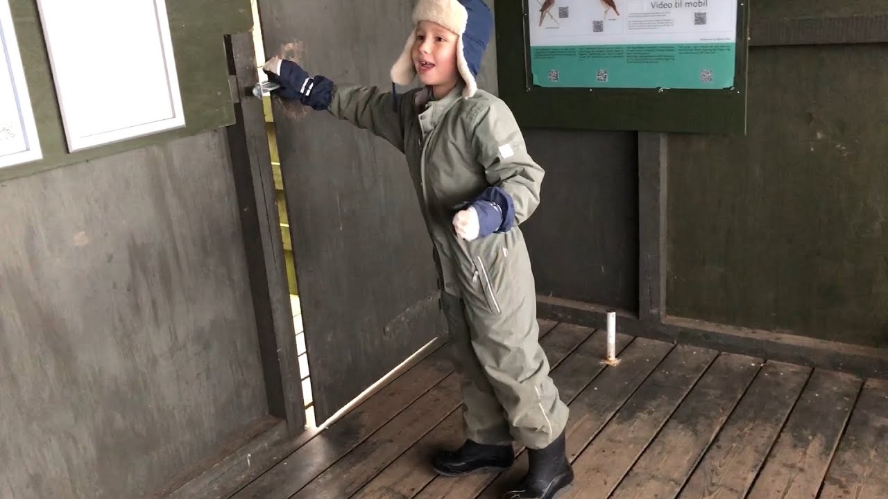 Bio-nørd 6. På fugle-, svampe- og insektjagt ved Aarslev Engsø.