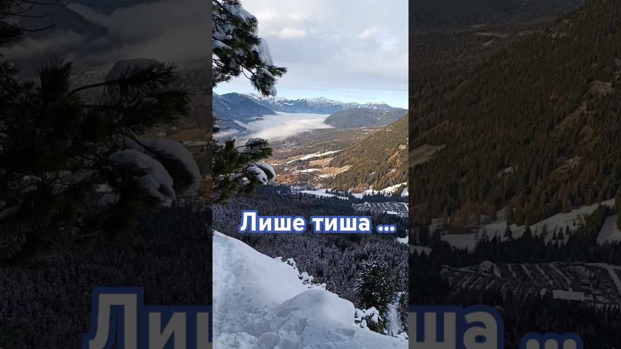 Тут панує лише тиша... 