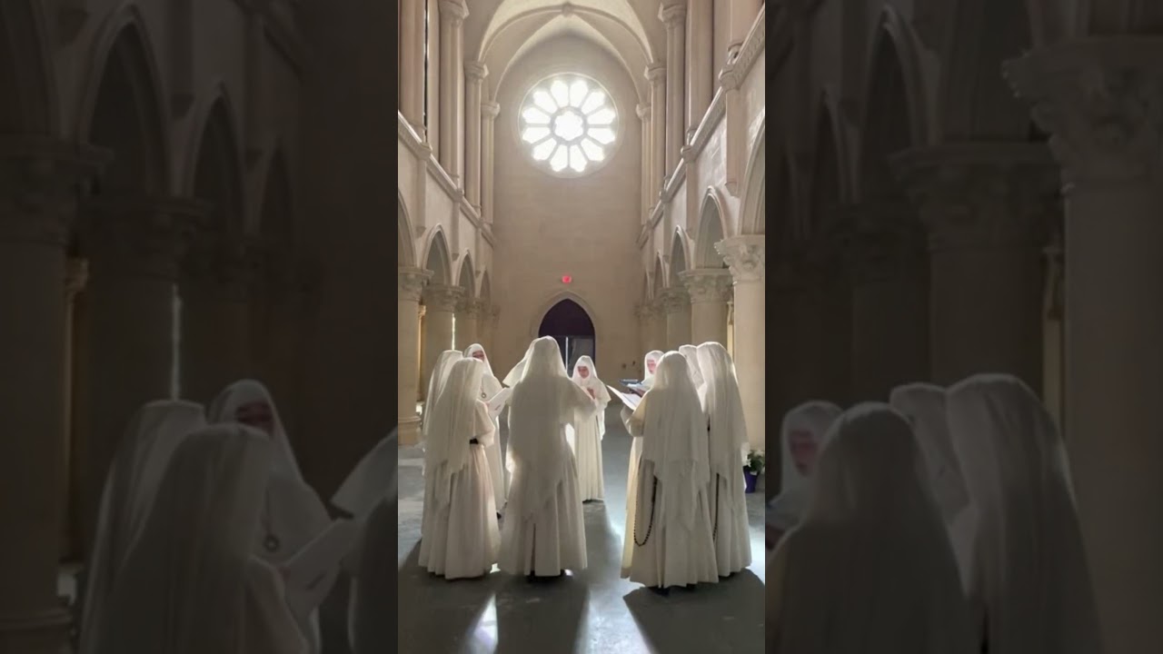 Singing Nuns #catholic #catholicchurch #catholicmass #catholicprayer #nuns #religiouslife #choir