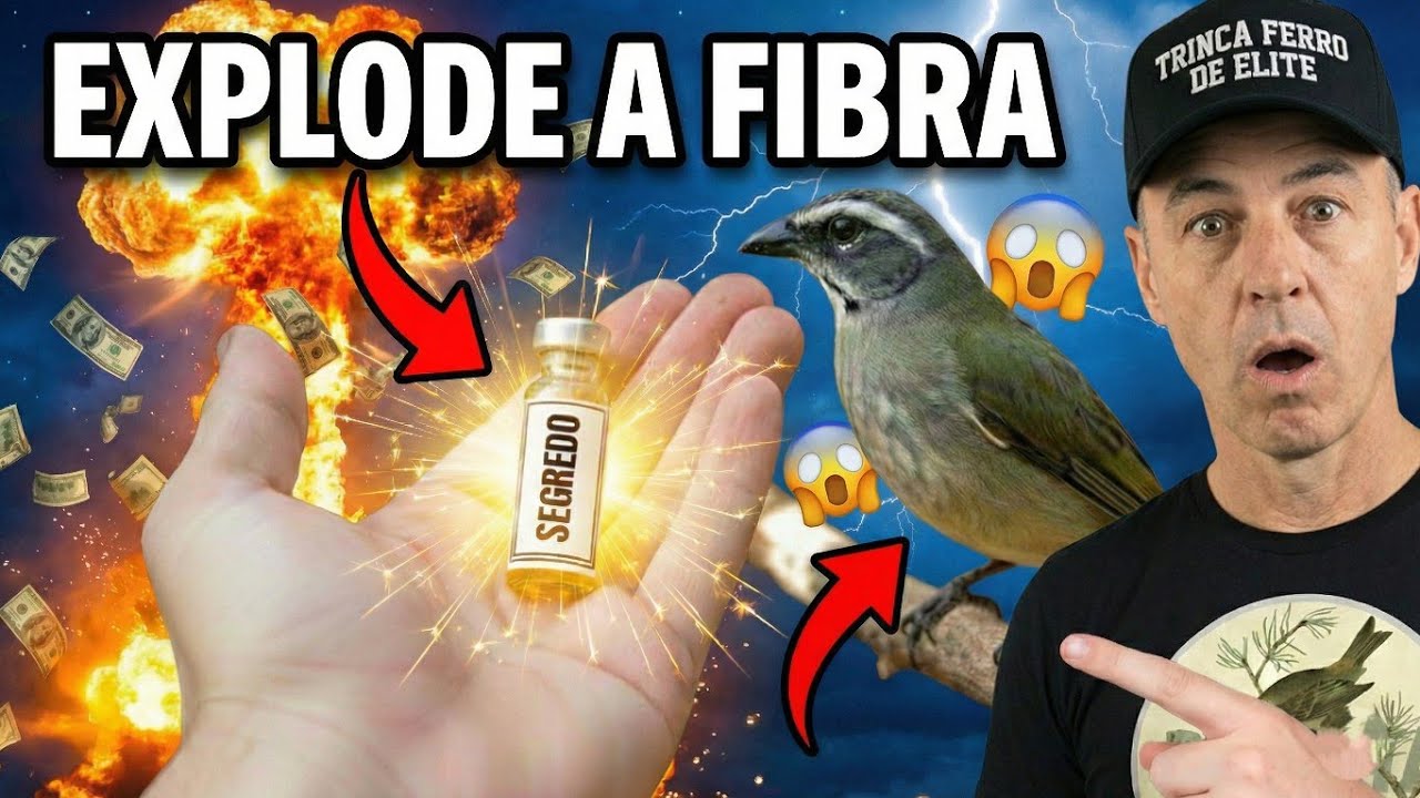 O “Pó Mágico” dos Torneios de Trinca-Ferro (Não é Remédio)