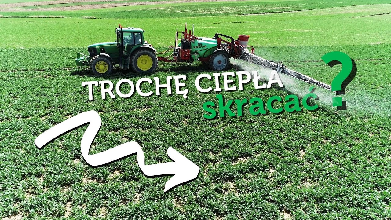 REGULACJA RZEPAKU - LICZYĆ NA MRÓZ CZY SKRACAĆ? ROBIMY ODŻYWCZĄ ZUPĘ - #213 nawozy nonstop