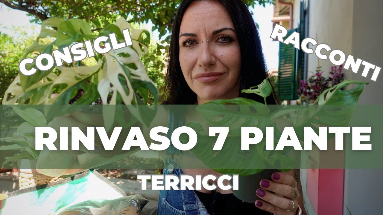 RINVASI CONSIGLI E TERRICCI