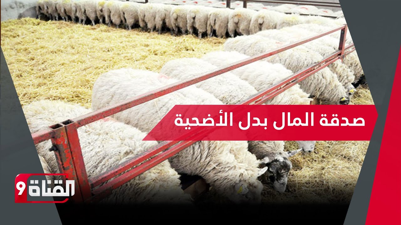 هل يجوز الصدقة بالمال بدل الأضحية؟