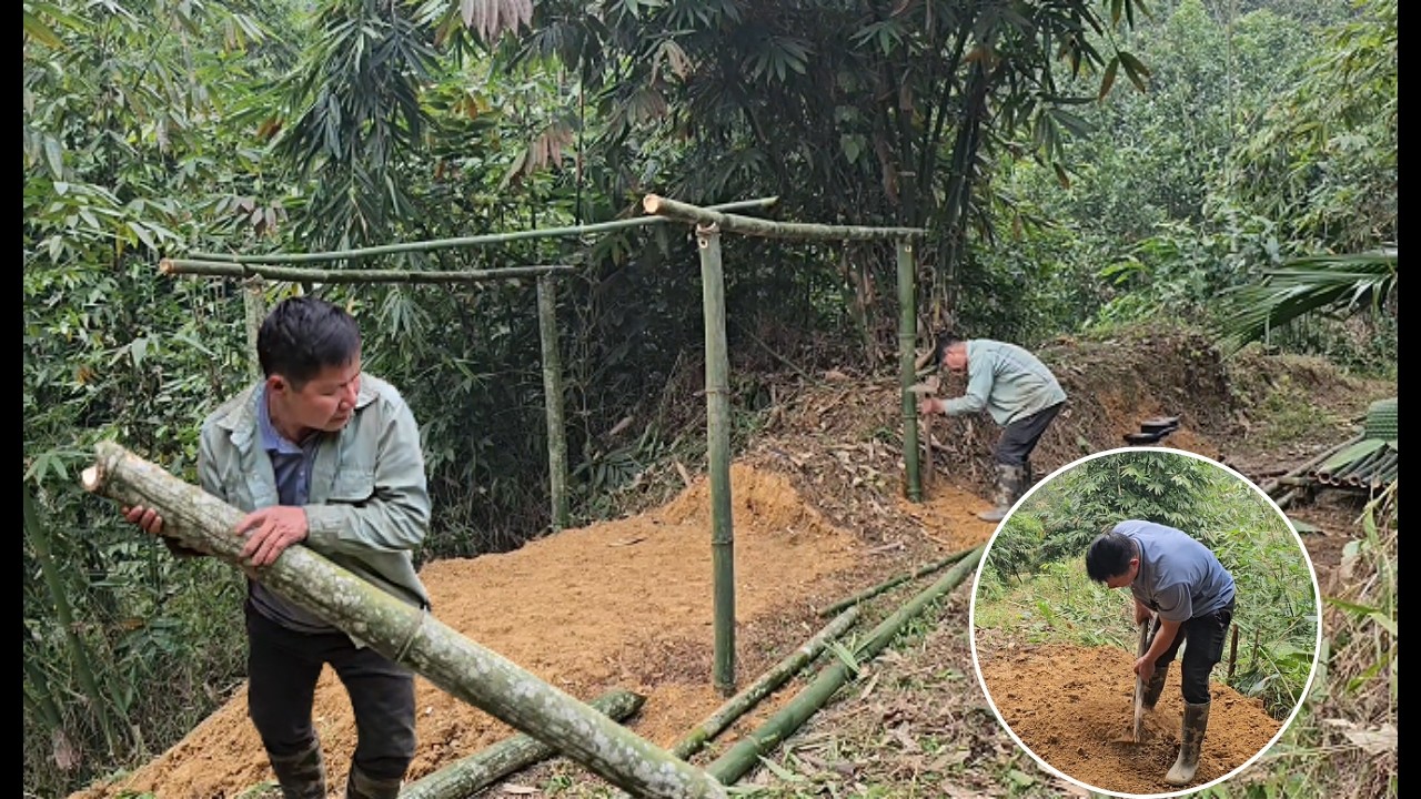 Ly Ha is gradually building a new house in the forest, what will the future hold?