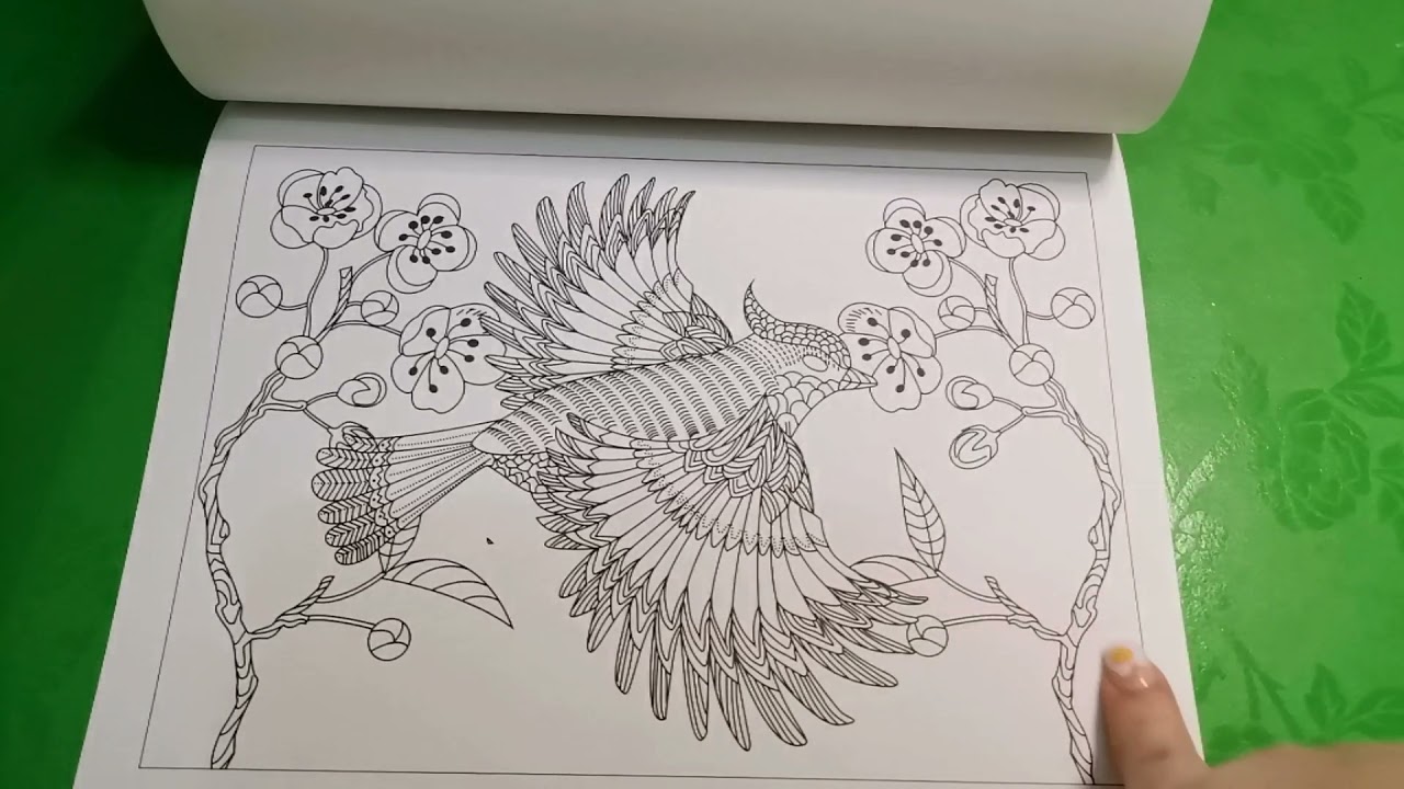 Magical World coloring book | flip through