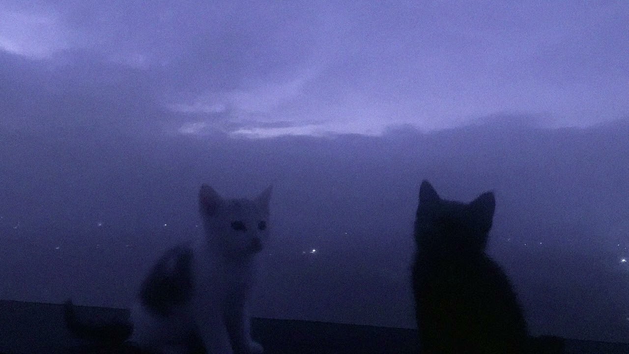 go to sleep, you need it.