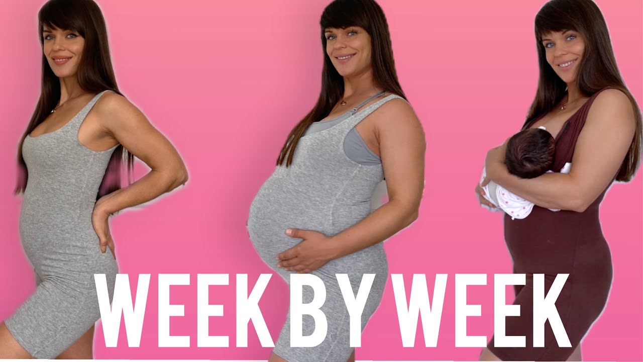 Pregnancy Transformation Week By Week | 9 Months In 60 seconds