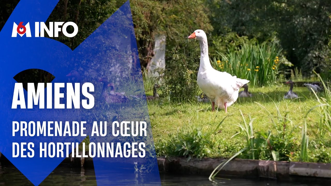 Amiens : promenade au cœur des hortillonnages