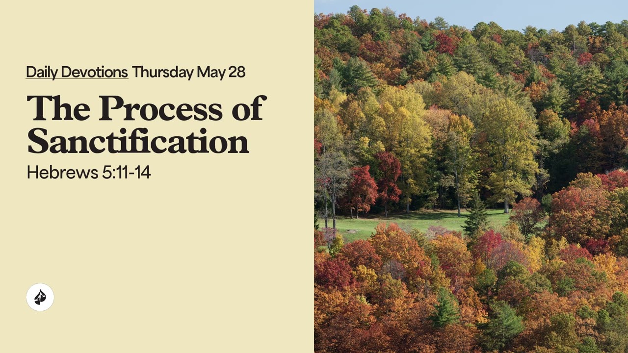 The Process of Sanctification &ndash; Daily Devotional