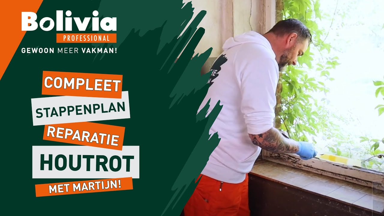 Houtrot reparatie. Compleet stappenplan voor effectief herstel