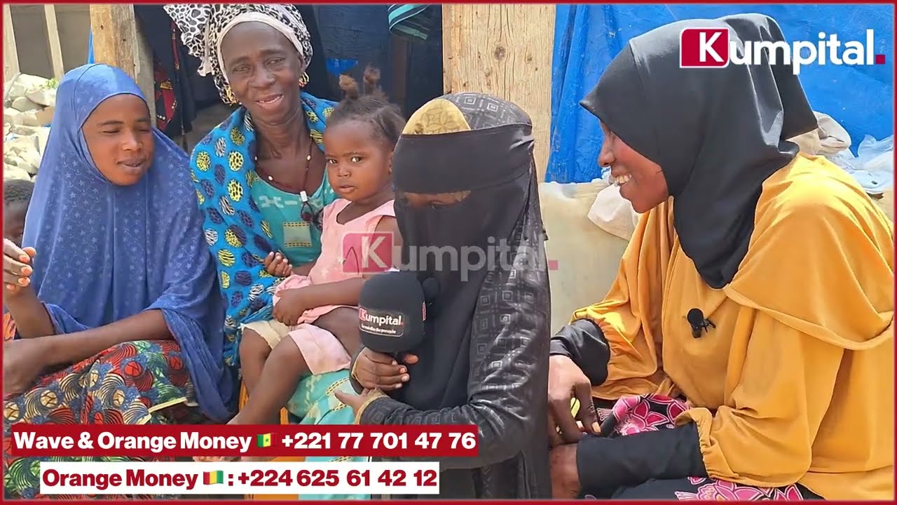 Sénégal 🇸🇳 : Incroyable mais vrai, ils comptent sur notre soutien pour rentrer en Guinée 🇬🇳.