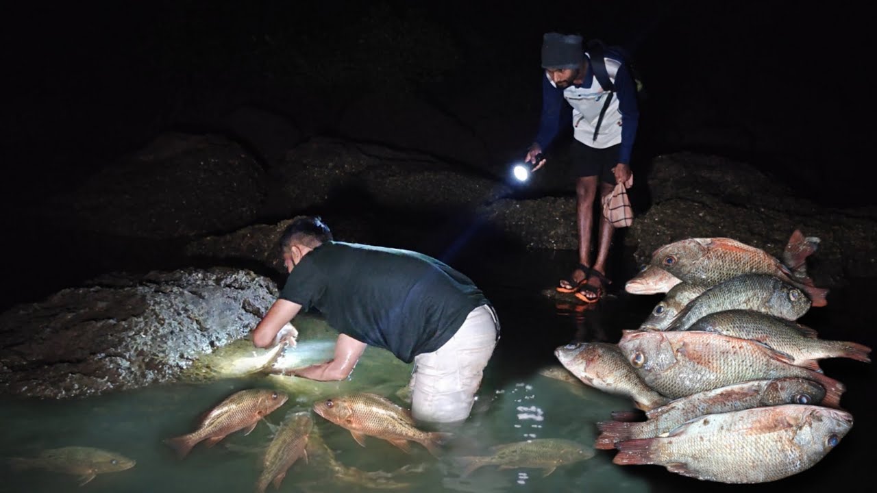 रात्रीचे खडपातून पकडले तांबोशी मासे आणि खेकडे | Traditional fishing in kokan @TejaGurav 