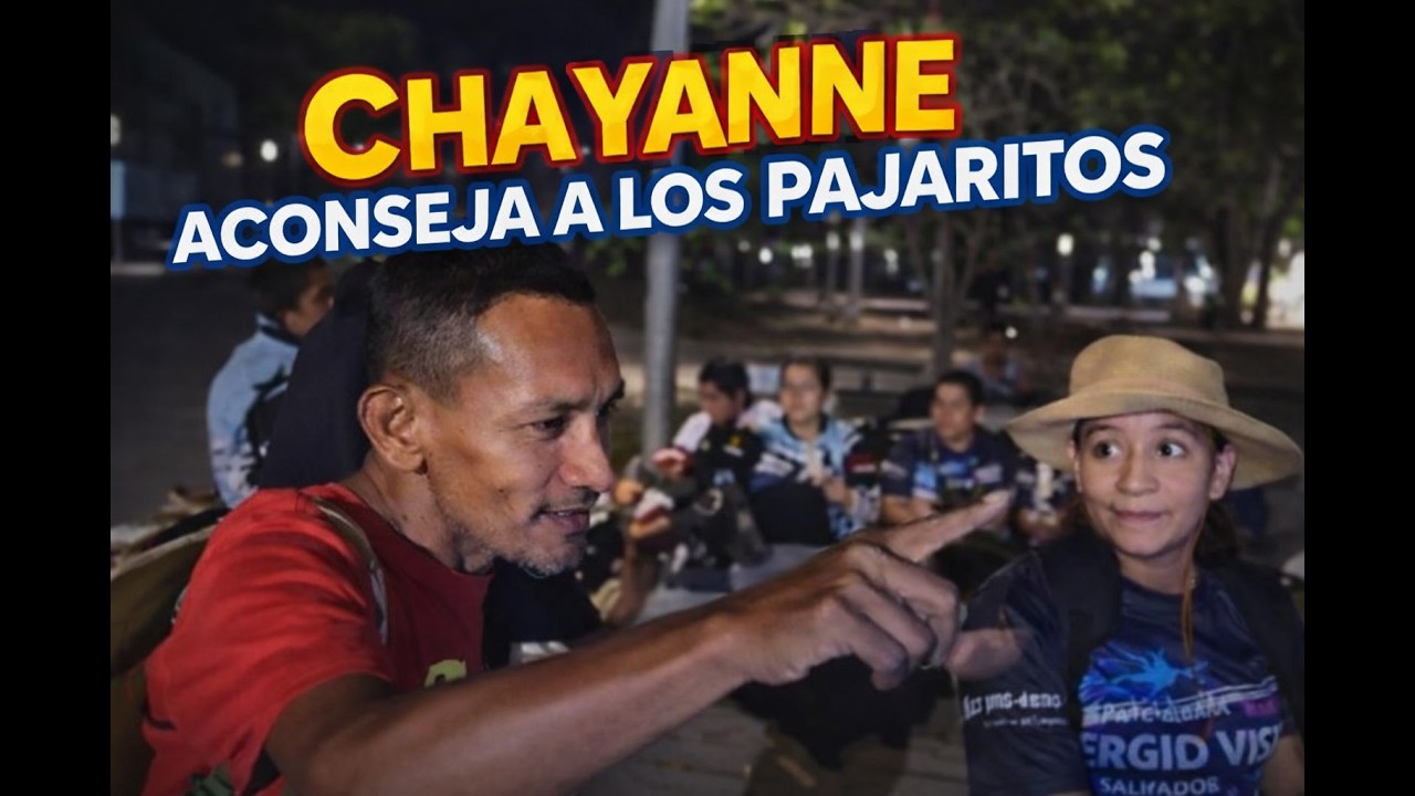 LOS CONSEJOS DE CHAYANNE NO LE GUSTARON A LOS PAJARITOS