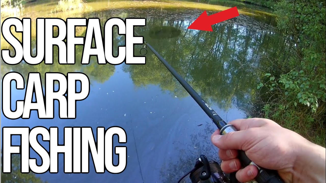 Mega session at Magiscroft fishery | Surface fishing madness | Carp fishing UK