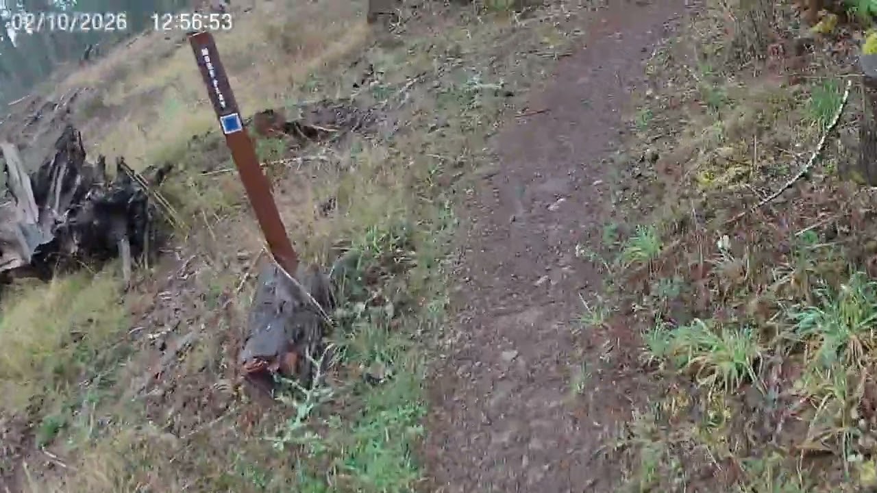 Let's hit a fun trail