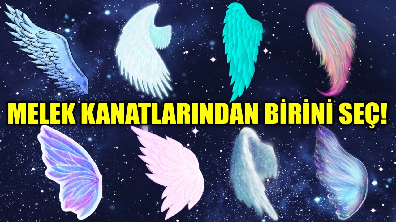 KORUYUCU MELEĞİNDEN MESAJ ALMAK İÇİN MELEK KANATLARINDAN BİRİNİ SEÇ!