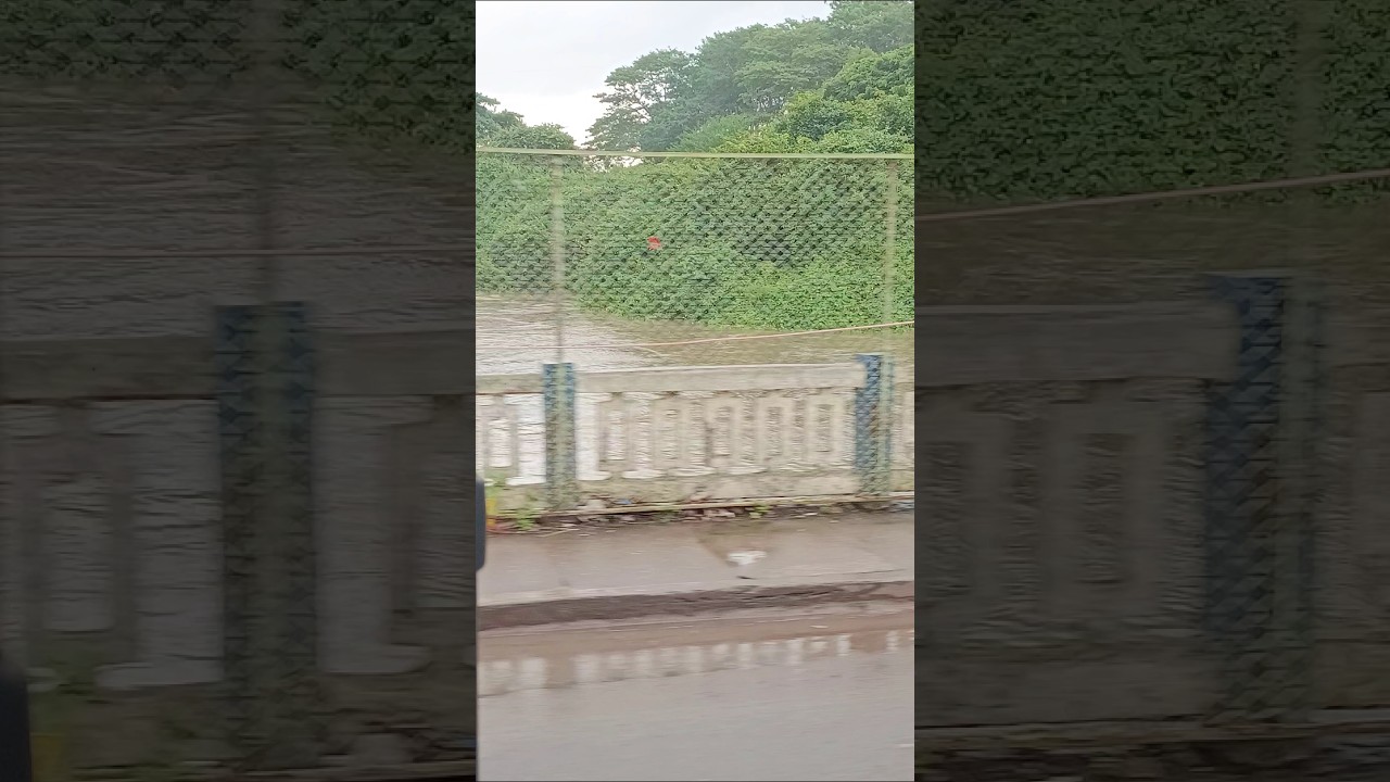 Flood Risk Alert 🚨 Pavana River Near Aditya Birla Hospital | Pune Monsoon 2025