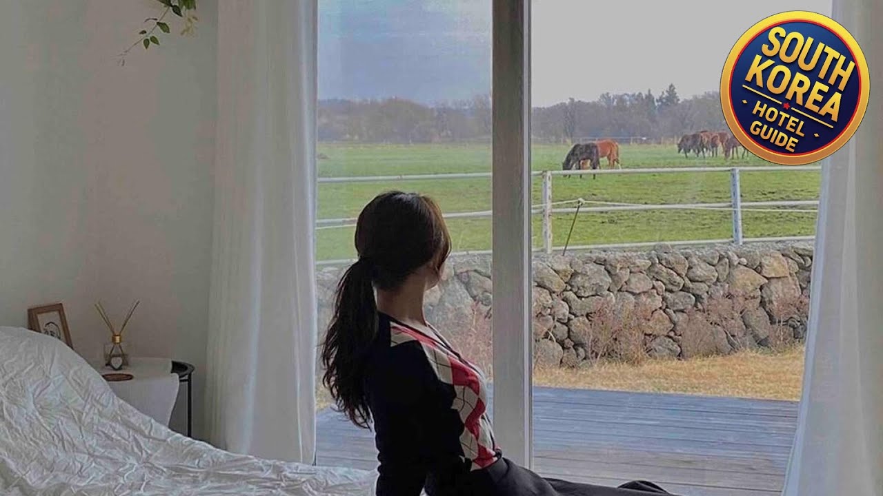 Pony Jeju [Couple Room 105] Hallasan 10 miniute | Jeju, South Korea | Hotel Review 🌟