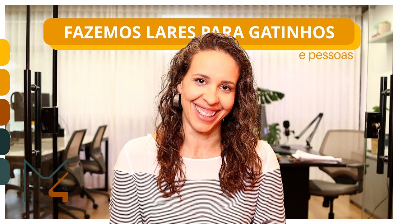 PROJETOS PARA FAMILIAS GATEIRAS