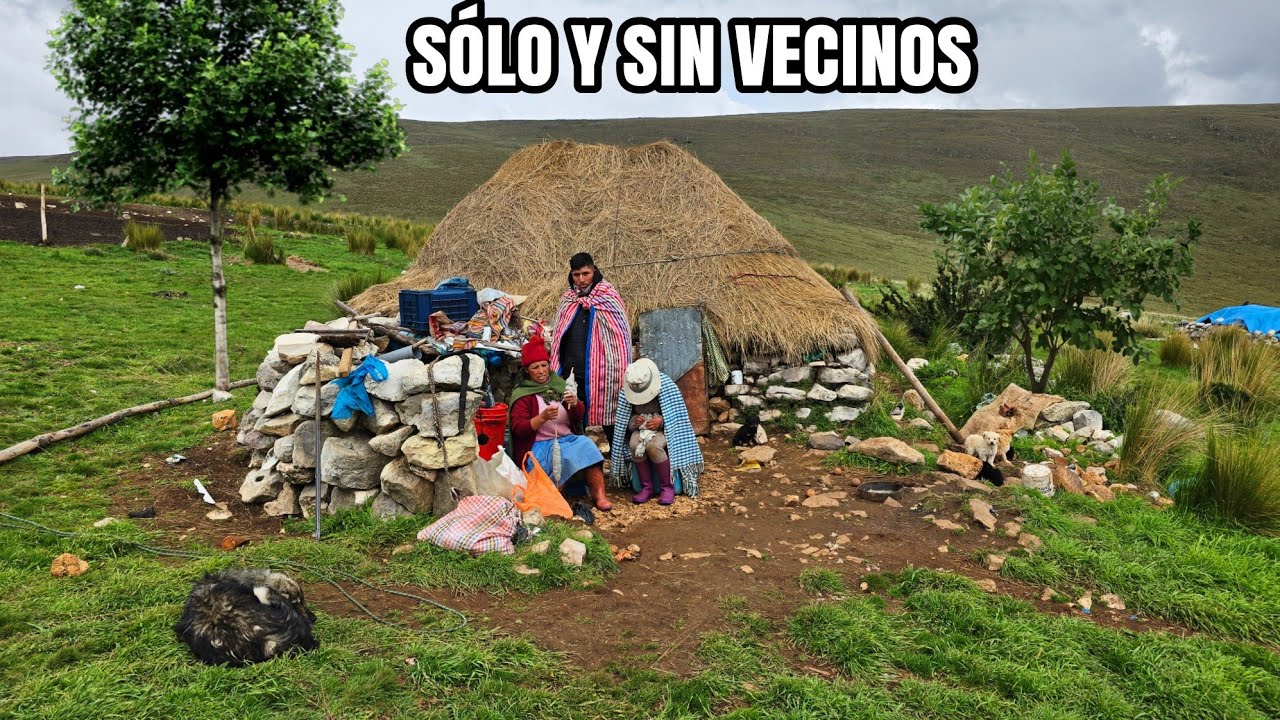 Así es la vida de una FAMILIA AISLADA que vive sólo en los andes del Perú