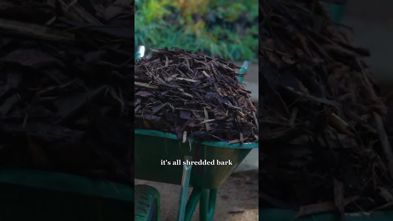 The benefits of winter mulching | Country Living UK