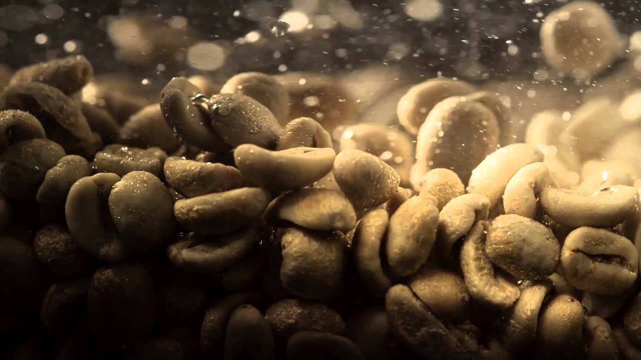 TimHortonsSwissDecaf ENG PREROLL