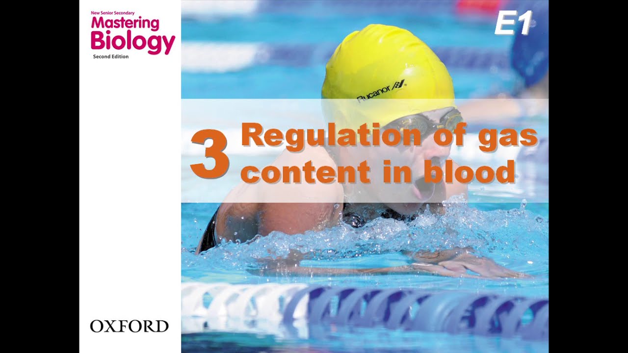 HKDSE Biology - Regulation of Gas Content in Blood