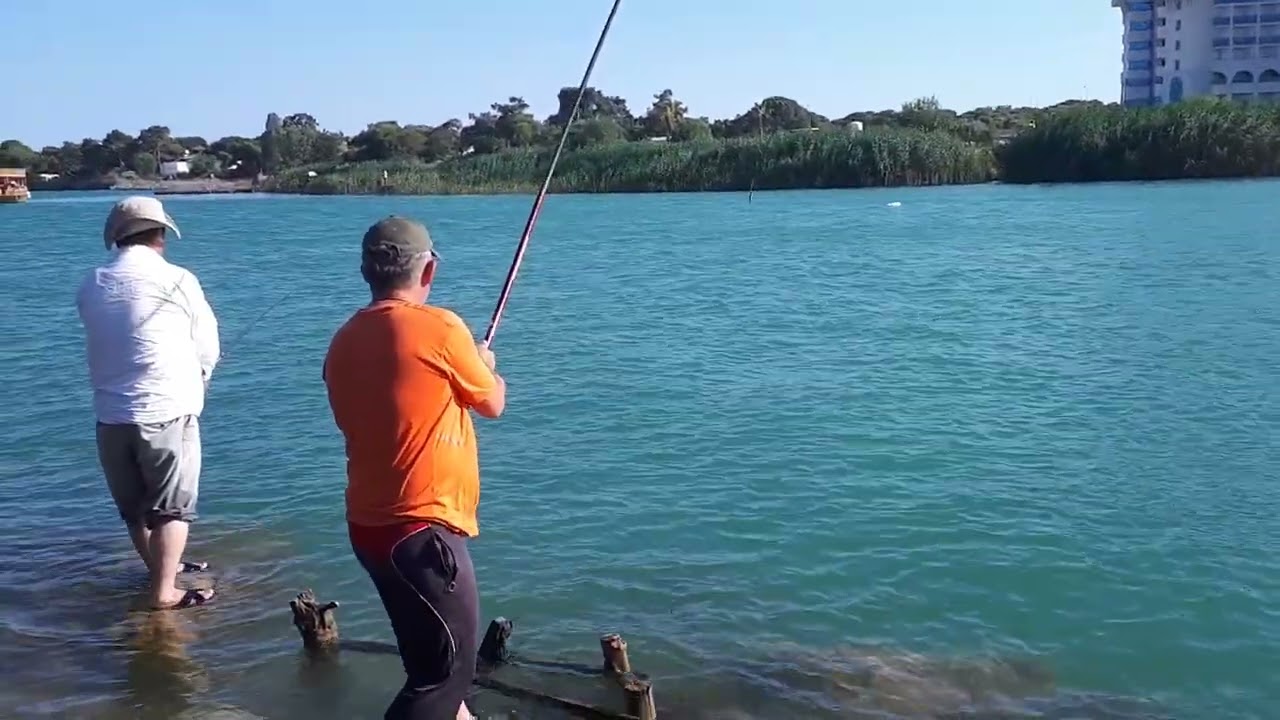 Kamış Kıran Kefaller. #kefalavı #balıkavı #fishing
