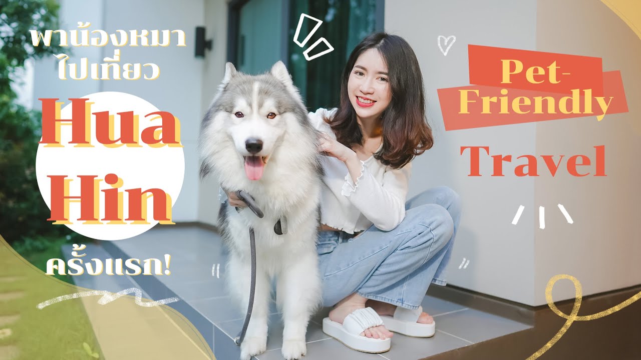 พาน้องหมาไปเที่ยว ‘หัวหิน’ ครั้งแรก! เที่ยวทะเล, คาเฟ่ และพักโรงแรมแบบ Pet Friendly