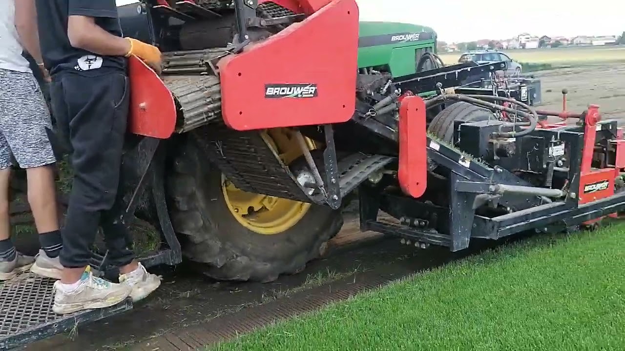 Ovako se seče tepih trava na plantaži