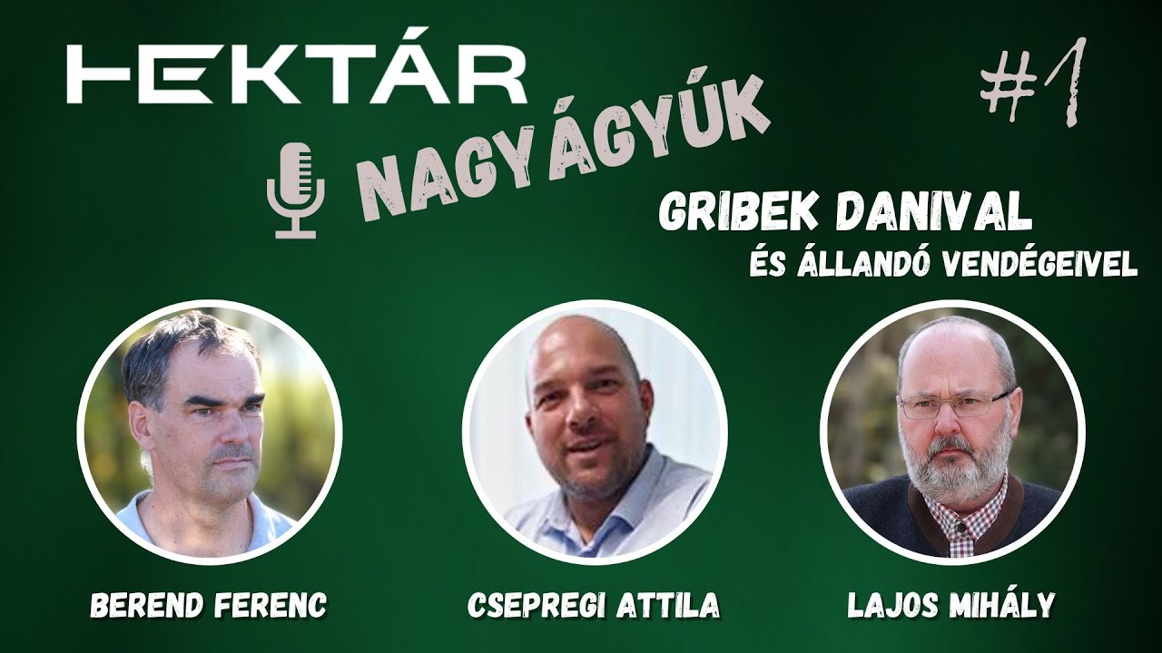 Vesszen a napraforgó? Mi a baj a nagy gépekkel? Miért csalódás az AÖP? - HEKTÁR Nagyágyúk