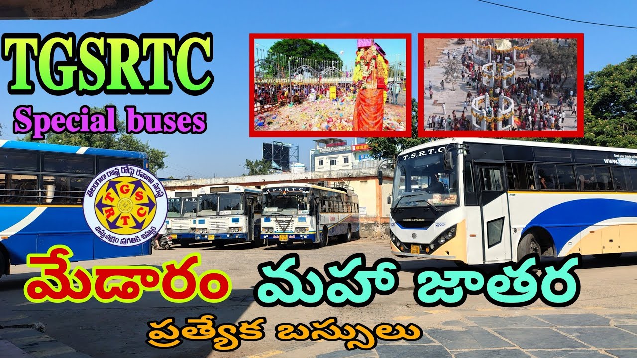 మేడారం మహాజాతర ప్రత్యేక బస్సులు | TGSRTC MEDARAM SPECIAL BUSES|THE LARGEST TRIBAL FAIR IN THA WORLD 