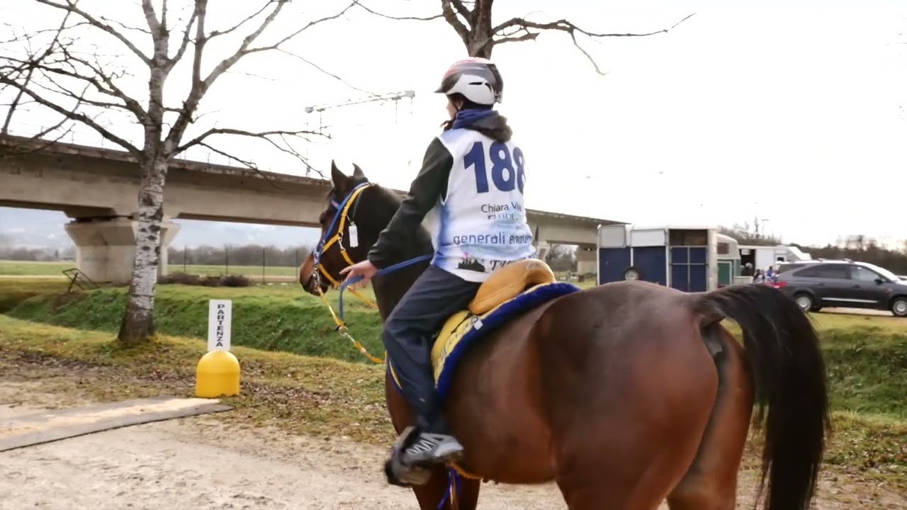 Debuttanti 🐴🤩 | Highlights 9 Febbraio 2025 by Generali Endurance