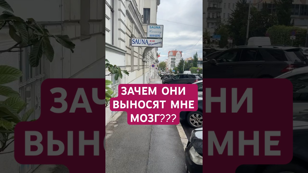 Зачем они выносят мне мозг? #akselfrank