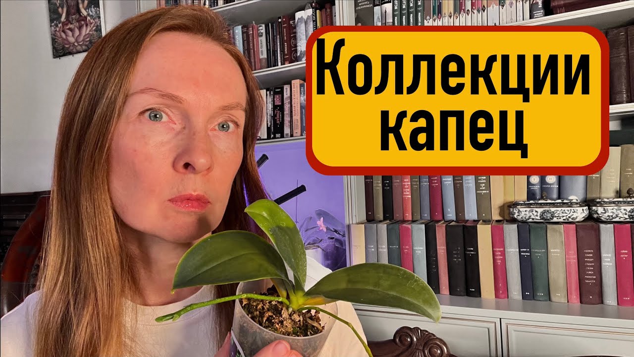 Я теряю свои растения!